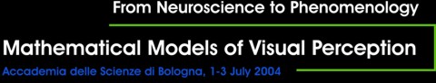 Mathematical Models of Visual Perception