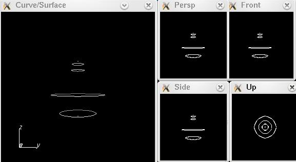 Curve 3D del busto