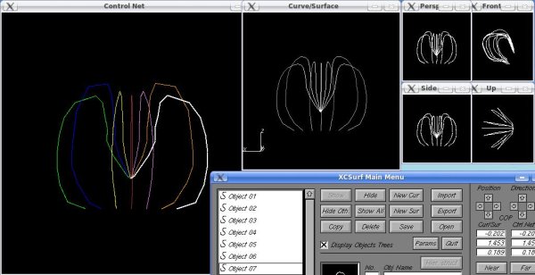 Curve 3D profilo della testa 2