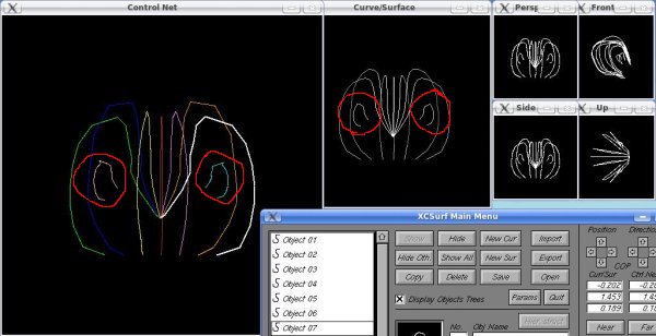 Curve 3D profilo della testa 3