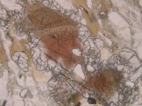 Minerali al microscopio