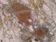 Minerali al microscopio